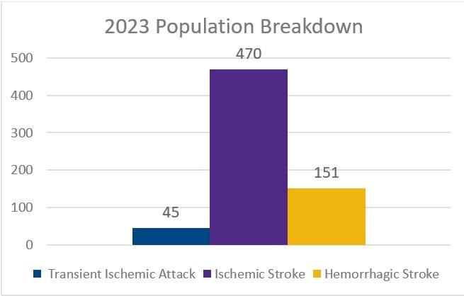 2023 Stroke Population Breakdown