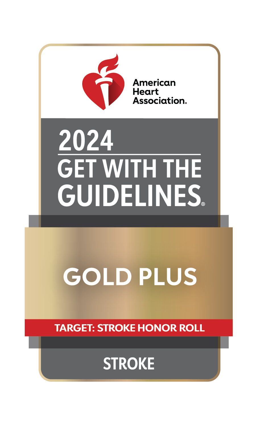 Get With the Guidelines Gold Plus Stroke